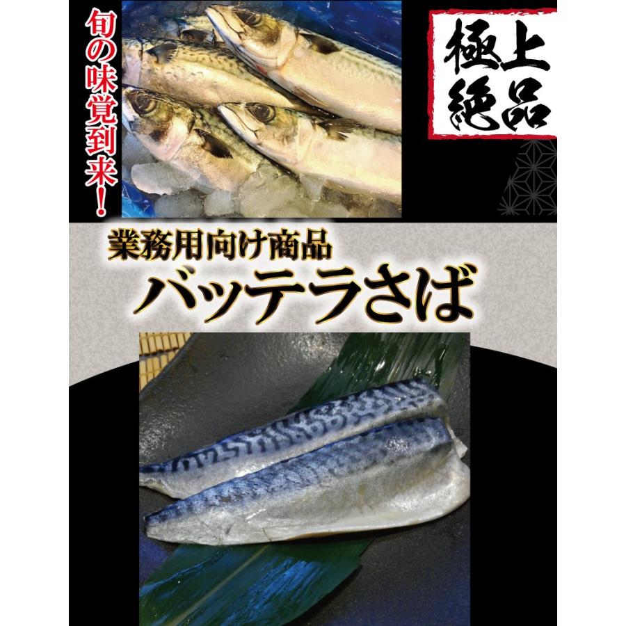 しめ鯖 さば 鯖 バッテラ用酢〆さば 5枚 業務用向け サバ寿司 お刺身 鯖寿司 酒のアテ おつまみ Shimesaba 廻鮮寿したいの鯛ショップ 通販 Yahoo ショッピング