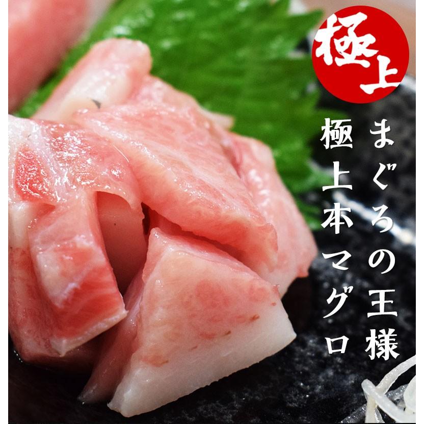 本まぐろ大とろ0グラム 寿司 ネタ 特上 海鮮丼 手巻き おつまみ 寿司パーティ お祝い 記念日 マグロ まぐろ 鮪 刺身 父の日 母の日 グルメ おおとろ 大トロ Shimofuritoro 廻鮮寿したいの鯛ショップ 通販 Yahoo ショッピング