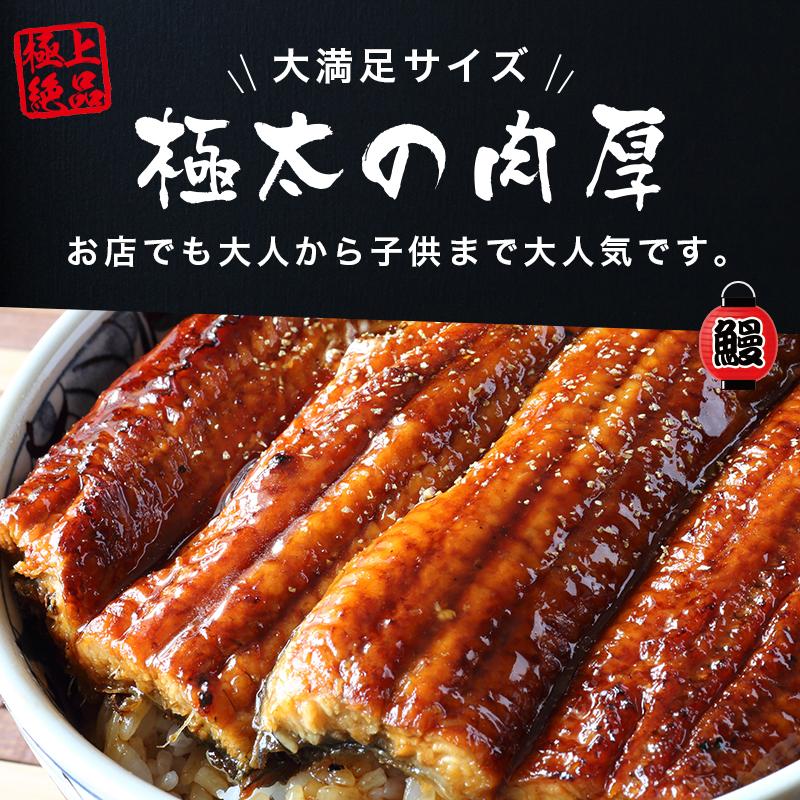 超特大 うなぎ 蒲焼き メガサイズ 360g-400g ×1本 ウナギ 鰻 ギフト｜taino-tai｜02
