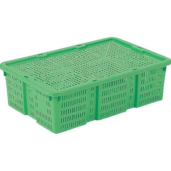 三甲（サンコー） 業務用 20個セット 包装資材 ヤサイ篭 4K-4-3 本体