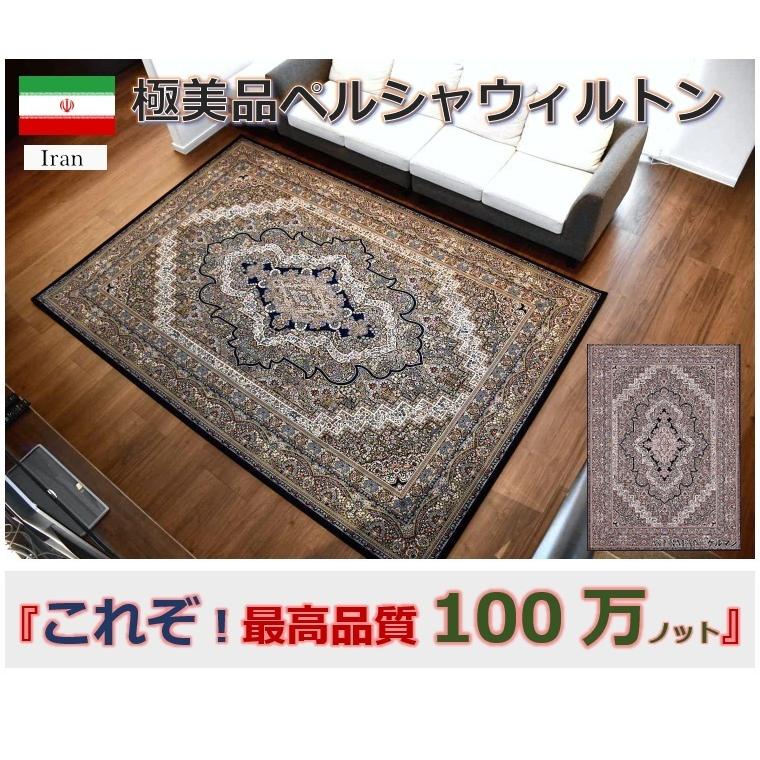 ペルシャ絨毯 ラグ おしゃれ 約 10畳 300x400 厚手 カーペット じゅうたん 当社在庫 (ケルマン／ローサ) 10畳中敷き 300x400cm｜tairyo｜02