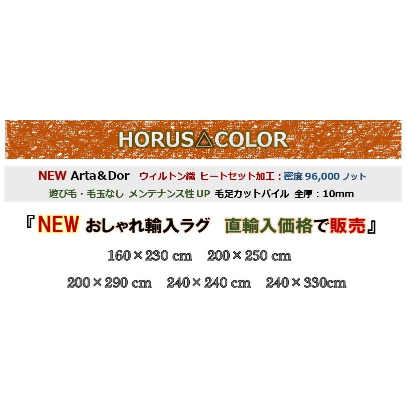 びっくり価格 カーペット ラグ 4.5畳 四畳半 240×240 絨毯 じゅうたん おしゃれ ウィルトン織 当社在庫 (アルタ240×240) 約4.5畳 ２４０×２４０cm_8