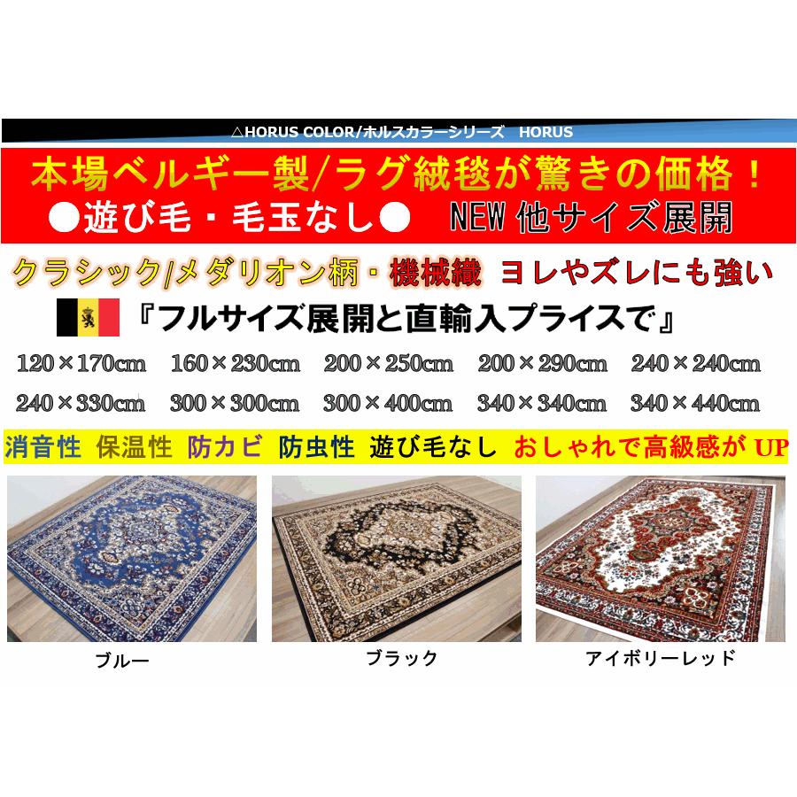 カーペット 3畳 4畳 ラグ ベルギー 絨毯 じゅうたん おしゃれ 四畳 4帖 当社在庫 (SHIRAZ 1670 ホルス) 約4畳 200&times;290cm