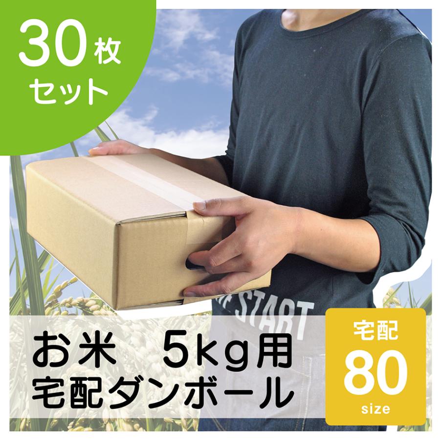 ダンボール 80サイズ 段ボール 30枚 5kg用 5mm厚 お米 宅配 業務用 無地 段ボール箱 米 ギフト 送料 通販 梱包箱 手穴付き ワン サイズ 80 ダンボール箱｜taisei-dan