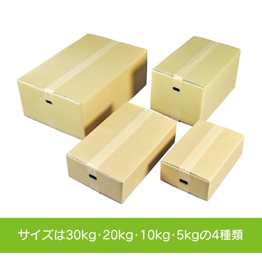 ダンボール 100サイズ 段ボール 30枚 10kg用 5mm厚 お米 宅配 業務用