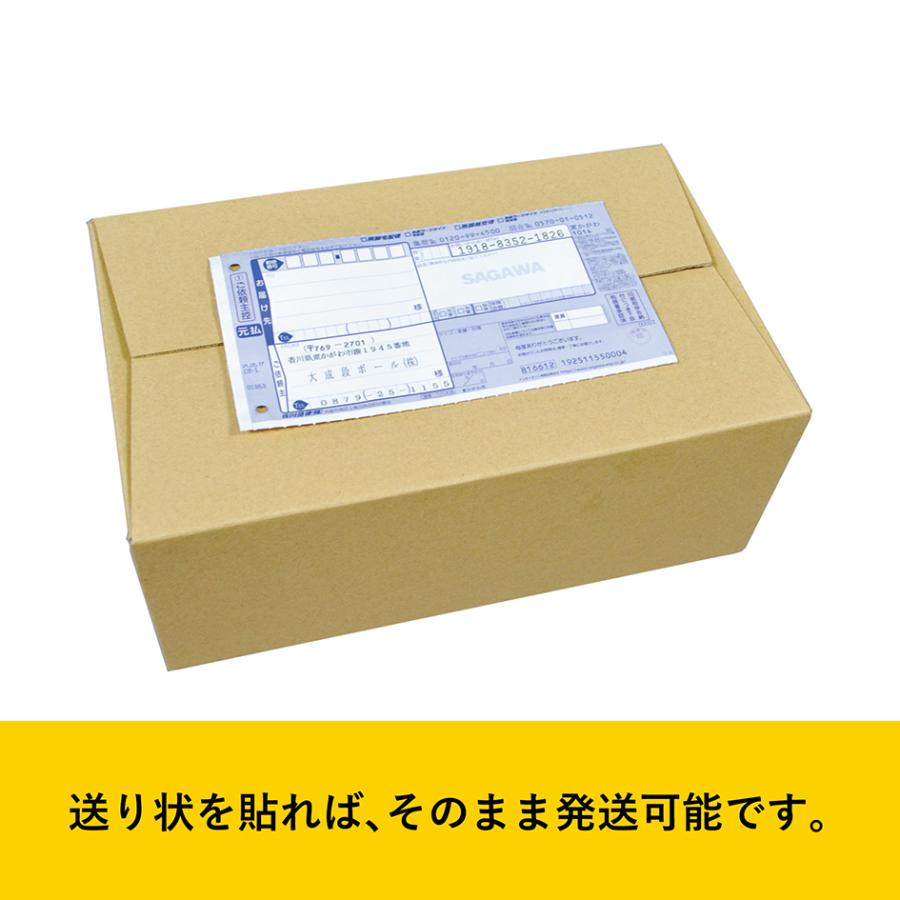 ダンボール 60サイズ テープ不要 段ボール 箱 100枚 無地 業務用