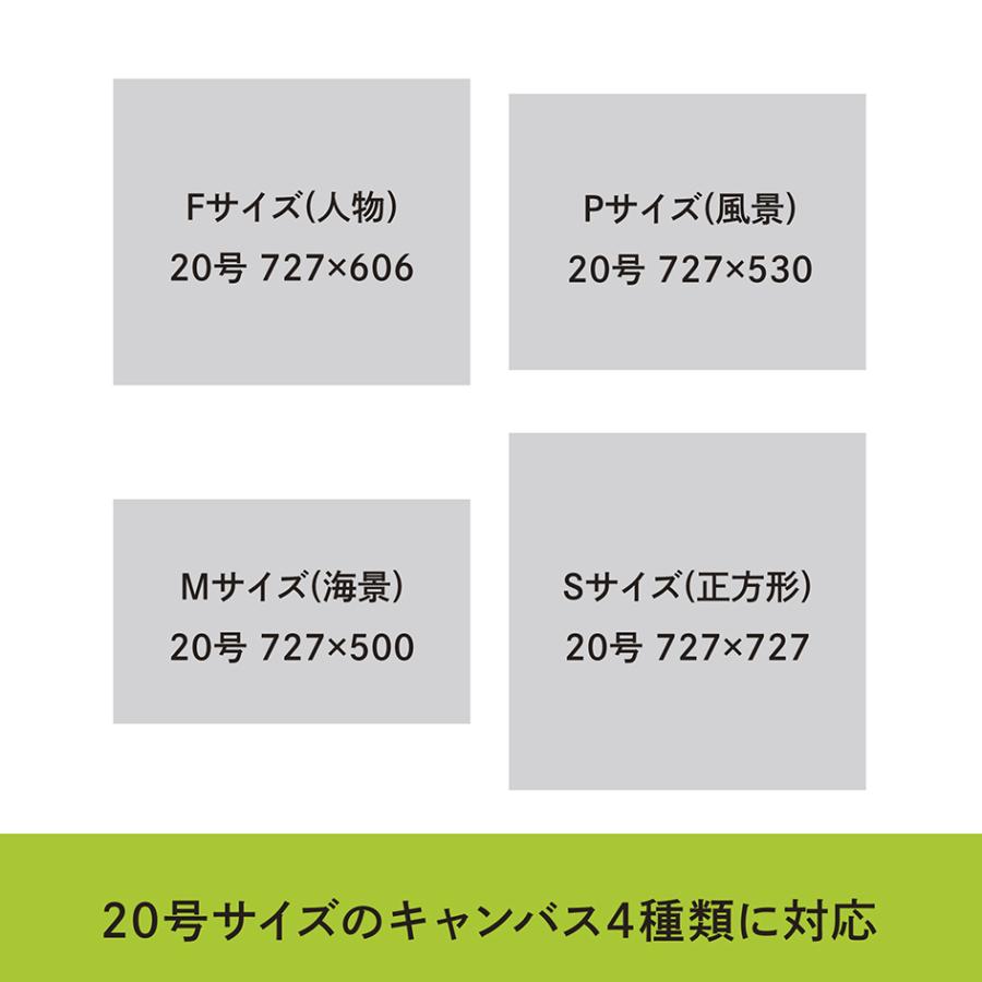 絵画キャンバス梱包用ダンボール 20号 727×500〜727 厚さ36mm