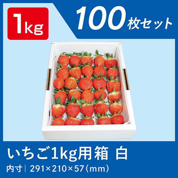 いちご ダンボール 1kg 用 苺 ケース 段ボール 箱 梱包 出荷 白