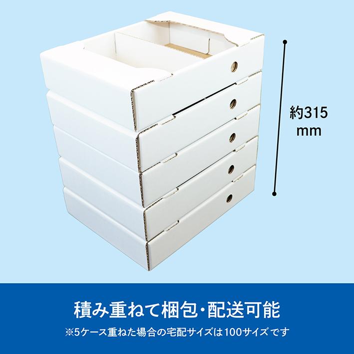 いちご ダンボール 箱 250g×2パック 500g用 苺 ケース 段ボール 梱包