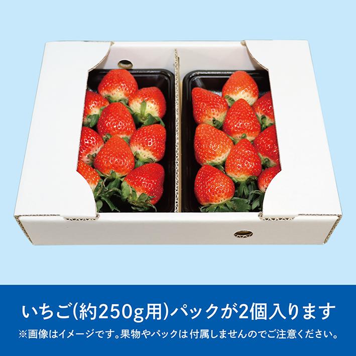いちご　2個 いちご ダンボール 箱 250g×2パック 500g用 苺 ケース 段ボール 梱包