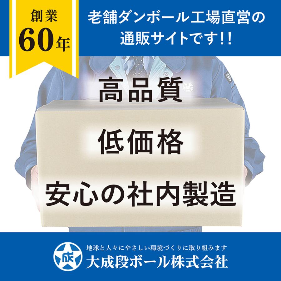 ビール用 ダンボール 60サイズ 6本入り 仕切り付き 箱 段ボール 業務用 段ボール箱 ビール瓶 日本製 20枚セット ダンボール箱 通販 梱包箱 保管 ワン サイズ 60 | ブランド登録なし | 17