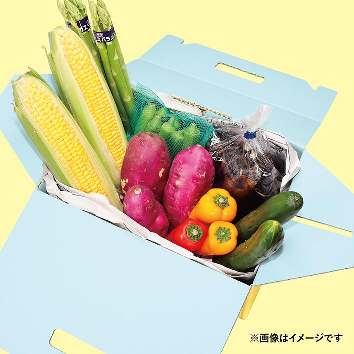 青果 段ボール カラー さつまいも みかん ダンボール 宅配 60 10枚 3kg