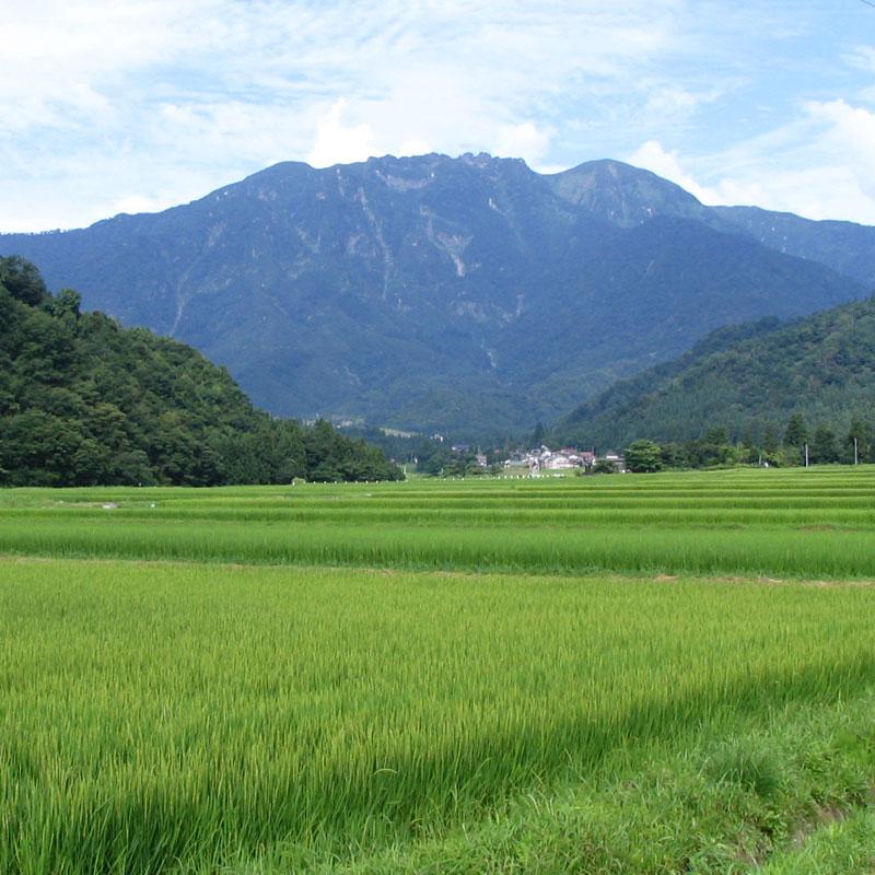八海山 日本酒 純米大吟醸 精米歩合45% 1800ml 化粧箱入 八海醸造 新潟