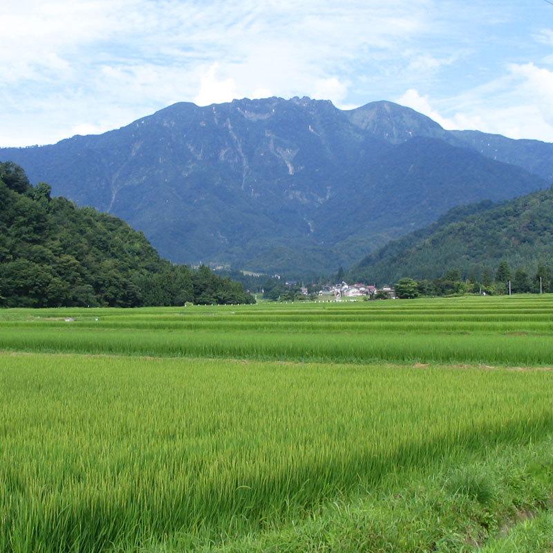 日本酒 八海山 大吟醸・純米大吟醸 1800ml×2本｜taiseiya｜05