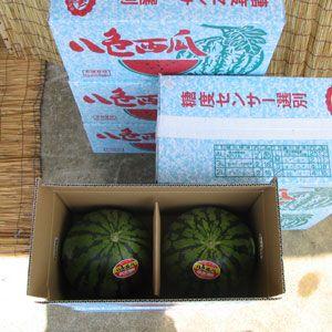 スイカ 八色西瓜 L玉 秀品 2個箱入 共選品 新潟県南魚沼産 すいか
