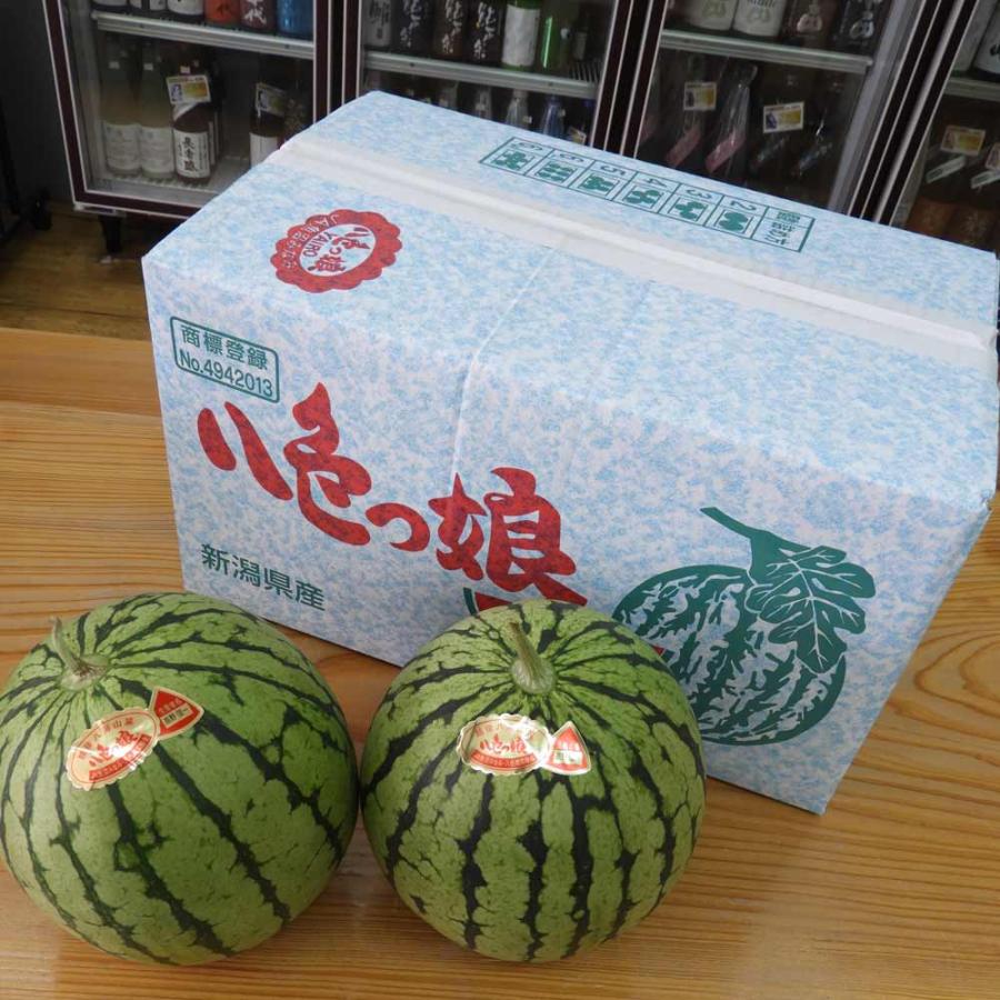八色すいか 小玉 八色っ娘 秀品 5個箱入 新潟県南魚沼産 スイカ : 新潟