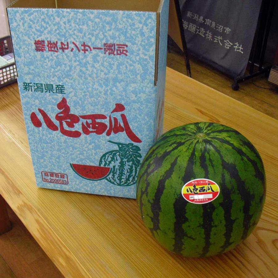 スイカ 八色西瓜 L玉 秀品 1個箱入 共選品 新潟県南魚沼産 すいか 到着