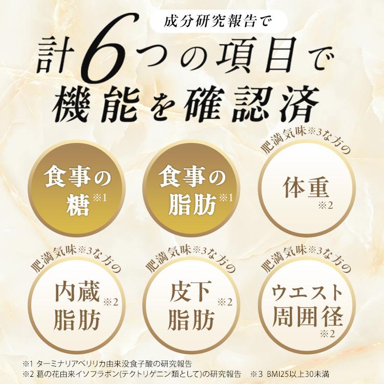 おなかの脂肪対策タブレット PREMIUM 3袋セット 大正製薬 公式 おなかの脂肪対策タブレットPREMIUM 粒タイプ 90