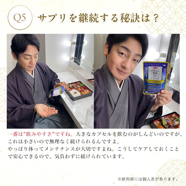大正製薬 公式 おなかの脂肪対策タブレットPREMIUM 粒タイプ 90粒 6袋