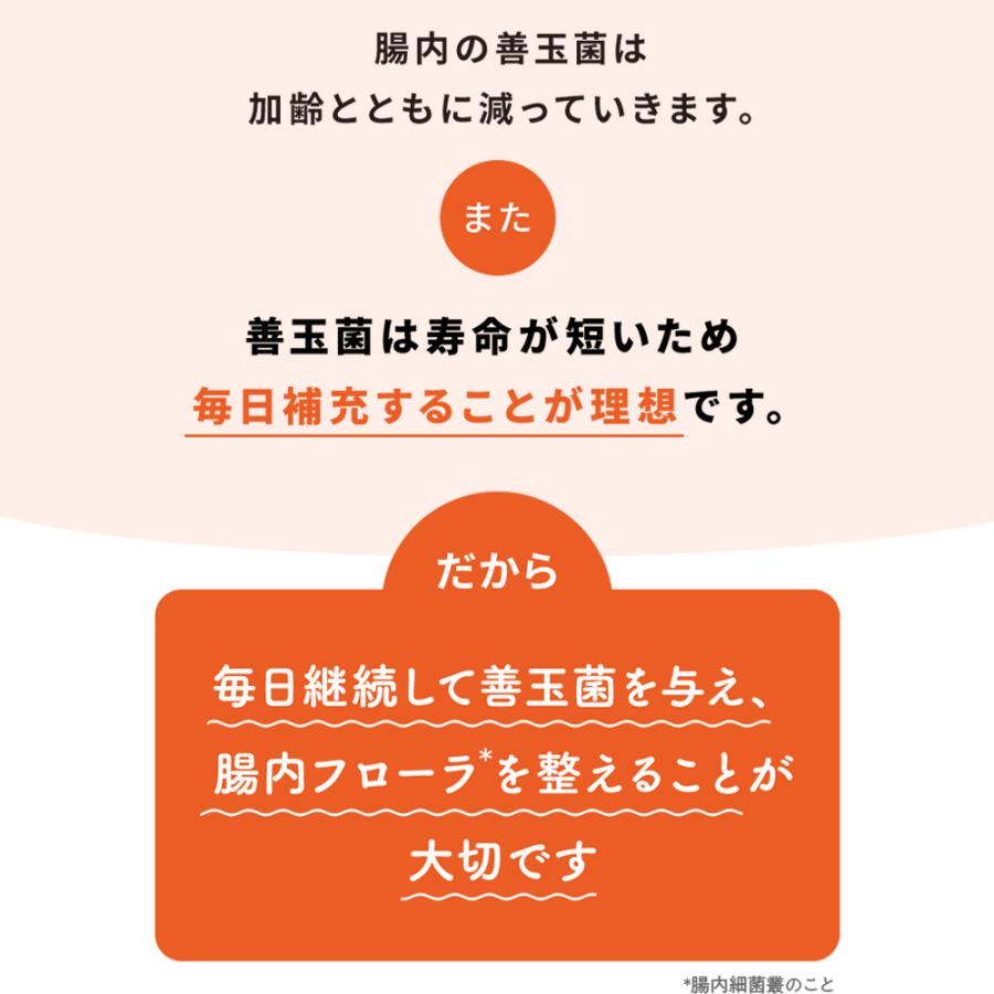 大正製薬 公式 わん ビオフェルミンS 40g 犬 サプリ サプリメント 腸活
