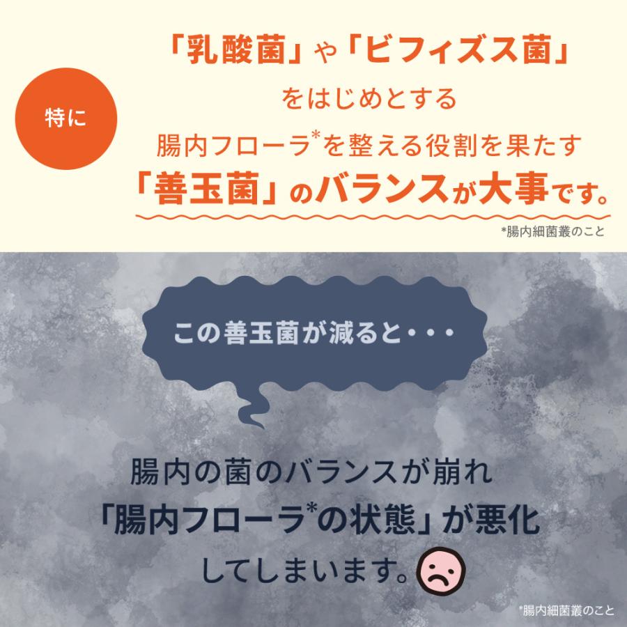 大正製薬 公式 わん ビオフェルミンS 40g 2袋 サプリ 犬