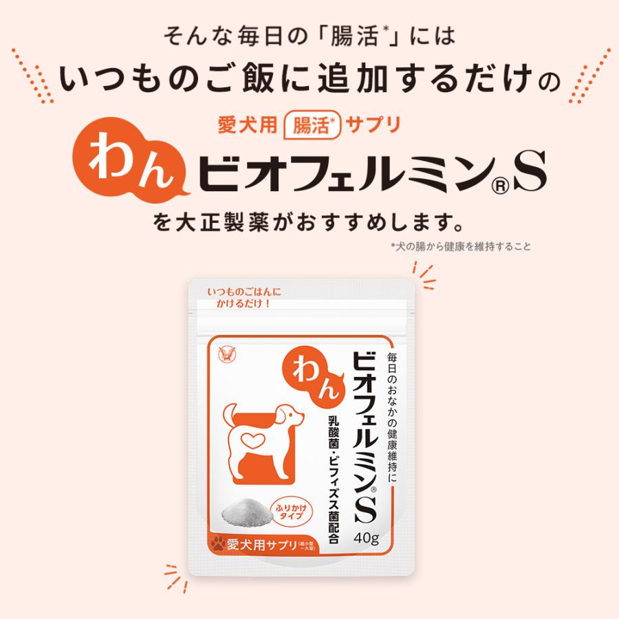 大正製薬 公式 わん ビオフェルミンS 40g 2袋 サプリ 犬 サプリメント