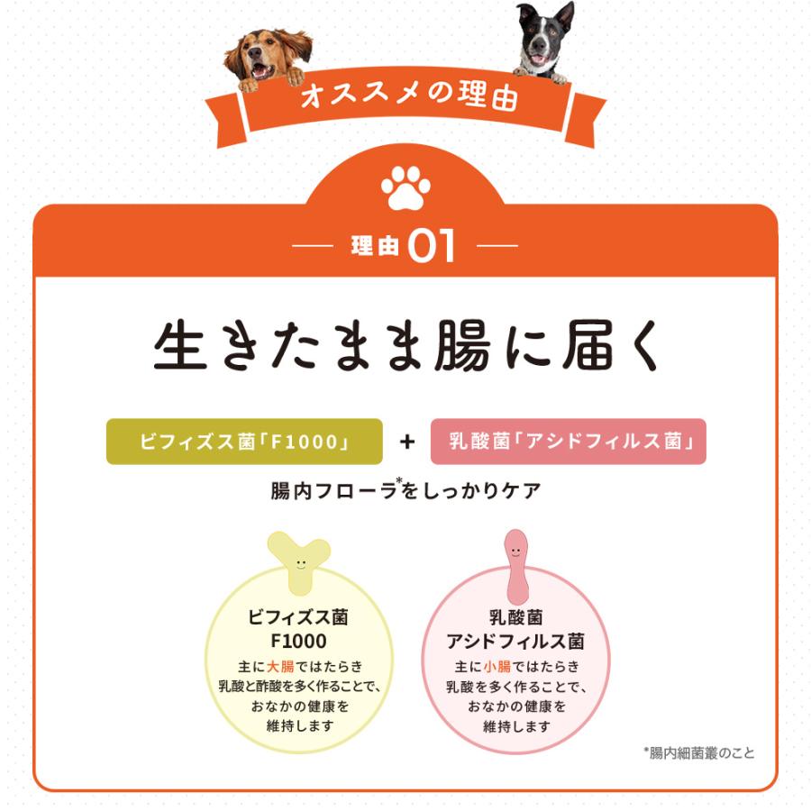 大正製薬 公式 わん ビオフェルミンS 40g 3袋 サプリ 犬 サプリメント