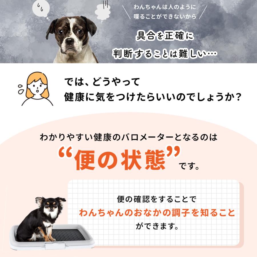 大正製薬 公式 わん ビオフェルミンS 40g 6袋 サプリ 犬 サプリメント
