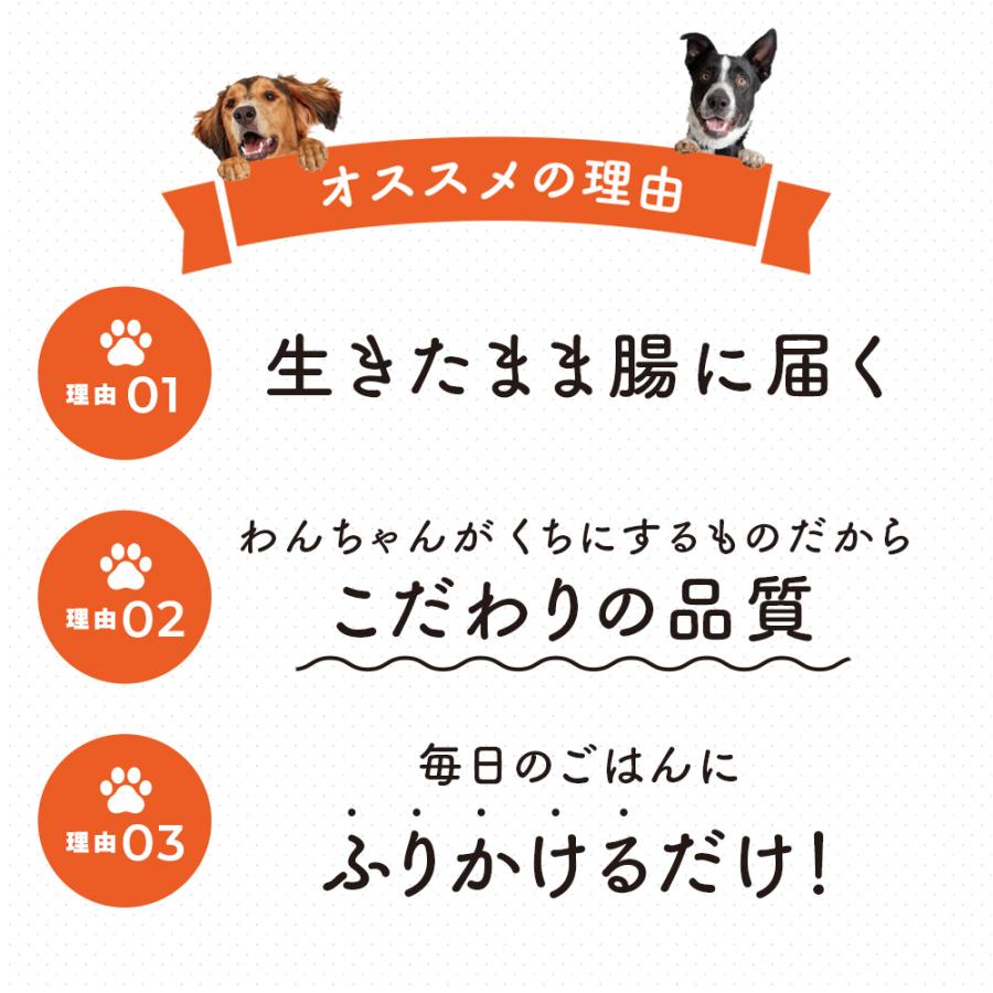 大正製薬 公式 わん ビオフェルミンS 40g 6袋 サプリ 犬 サプリメント