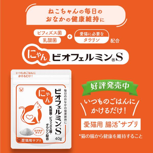 大正製薬 公式 にゃんビオフェルミンS 40g1袋 猫 サプリ フード