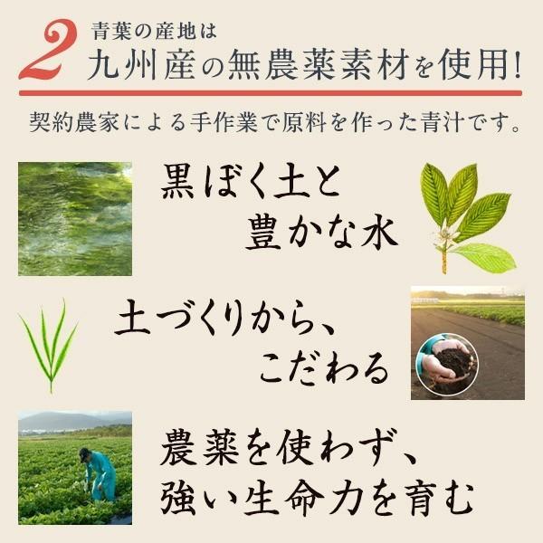 青汁 からだ環境青汁 3箱 30袋 和漢素材 大麦若葉 ケール 甘藷若葉 高麗人参 ウコン 大正製薬 送料無料 | 大正製薬 | 03