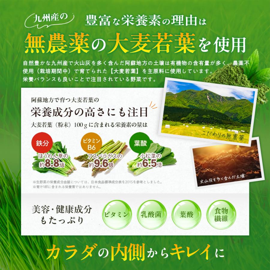 大正製薬 公式 青汁 乳酸菌青汁 3g×30袋 6箱 乳酸菌 腸活 健康 大正製薬 公式 青汁 乳酸菌青汁 3g×30袋 6箱 乳酸菌 腸活 健康