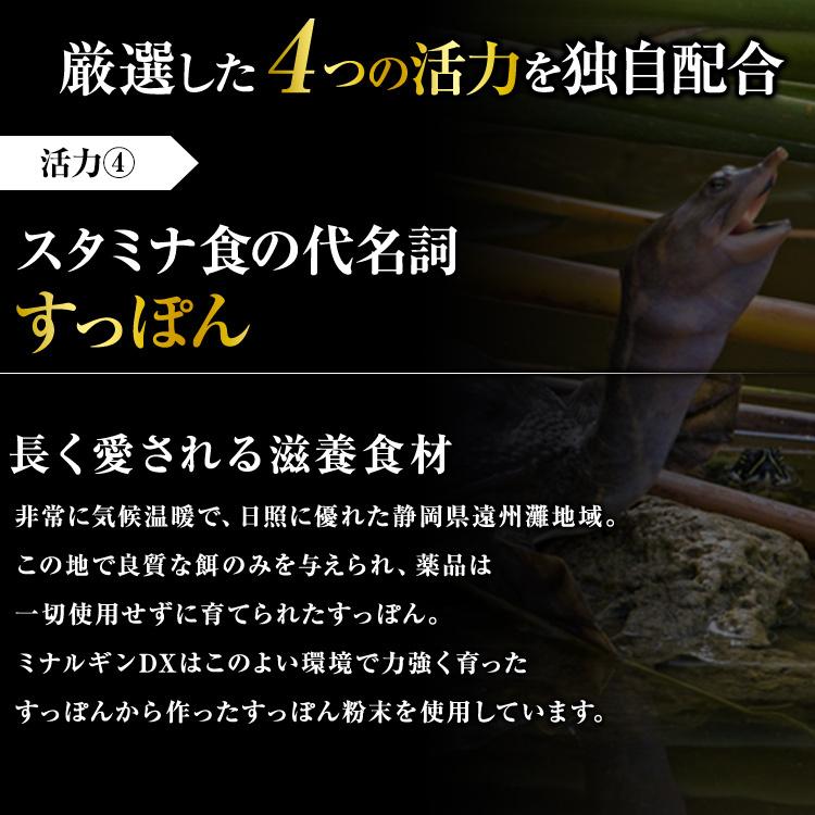 【新品・未開封】ミナルギンDX 5箱セット ミナルギンDX│【公式】大正製薬ダイレクトオンラインショップ