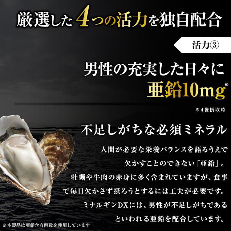 大正製薬 公式 ミナルギンDX 30袋 3箱 男性用 サプリ 高級 活力 L