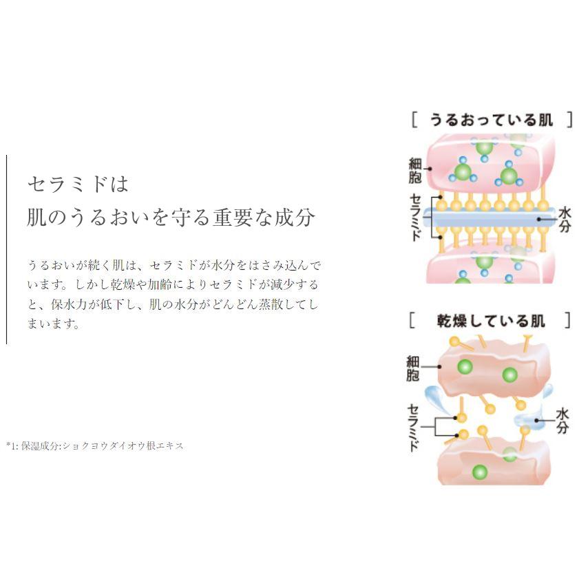 大正製薬 公式 トリニティーライン モイスト ローション プレミアムEX