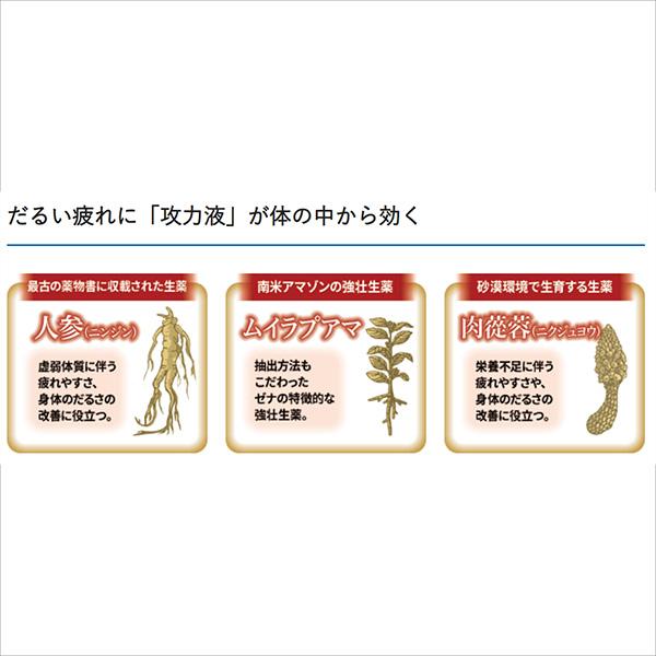 大正製薬 公式 ゼナF0攻力液 50mL×3本セット 指定医薬部外品 大正製薬 公式 ゼナF0攻力液 50mL×3本セット 指定医薬部外品