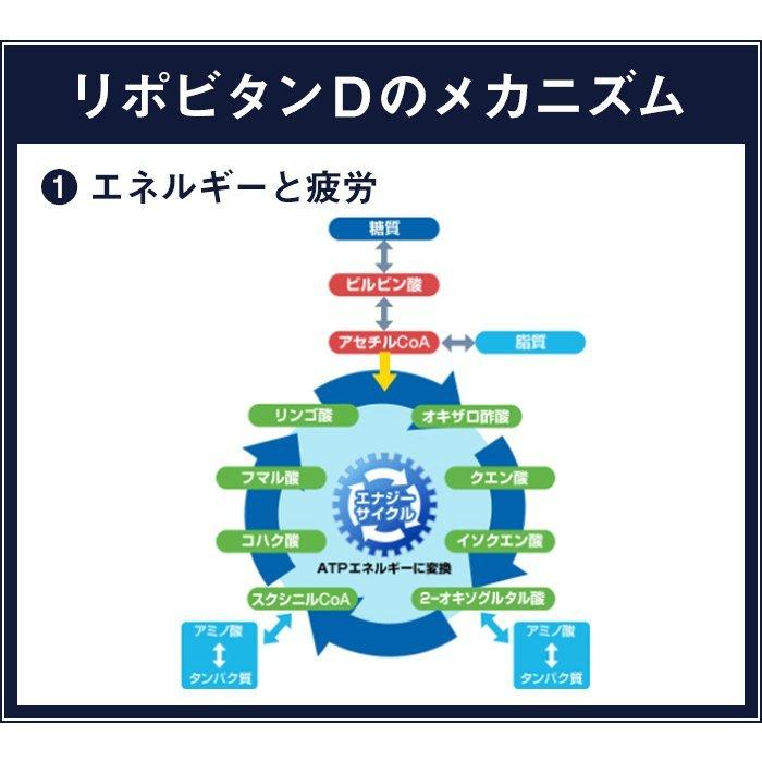 リポビタンD 感謝箱 100mL×50本 通販限定 指定医薬部外品 大正製薬 栄養ドリンク ありがとう リポビタン | 大正製薬 | 09