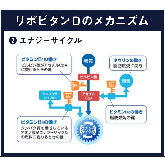 リポビタンD 感謝箱 100mL×50本 通販限定 指定医薬部外品 大正製薬 栄養ドリンク ありがとう リポビタン | 大正製薬 | 10