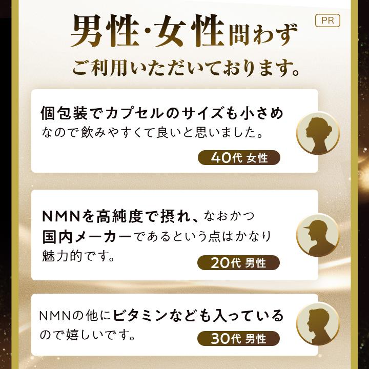 大正製薬 公式 NMN taisho 1袋3粒×30袋 90カプセル サプリメント 大正製薬 公式 NMN taisho 1袋3粒×30袋 90カプセル サプリメント