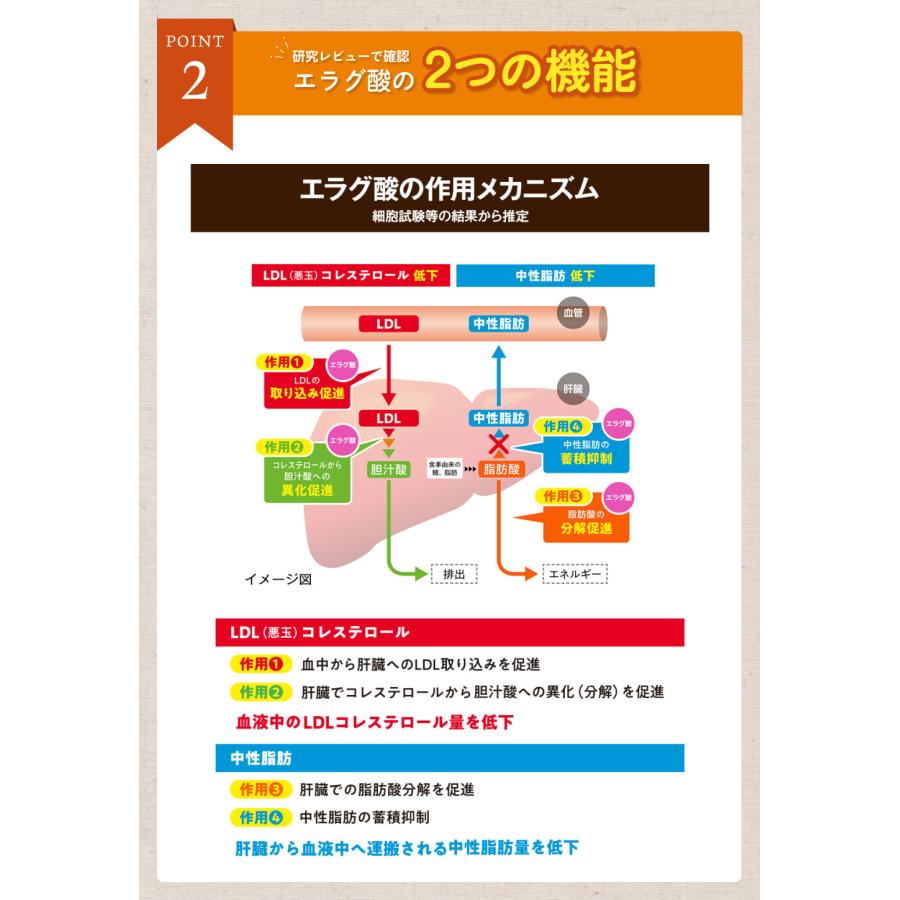 大正製薬 公式 コレステロールや中性脂肪が気になる方の青汁 30 大正製薬 公式 コレステロールや中性脂肪が気になる方の青汁 30