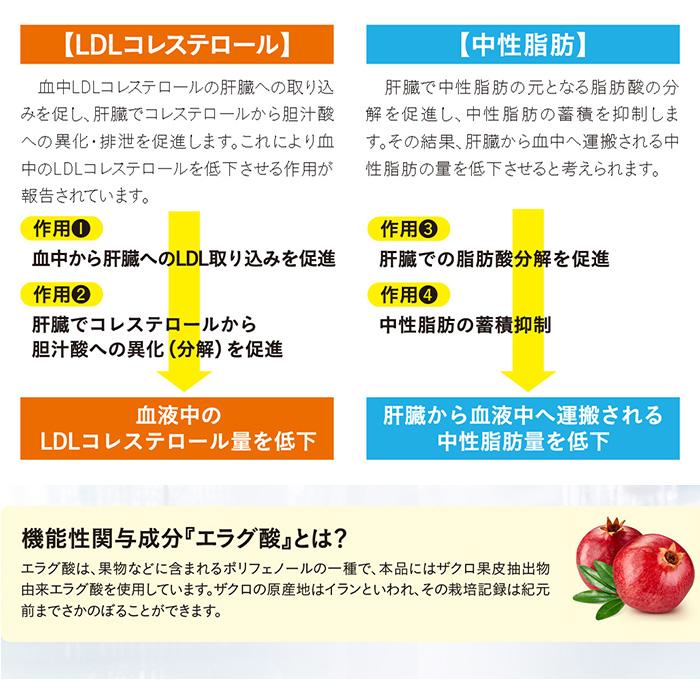 大正製薬 公式 コレステロールや中性脂肪が気になる方のタブレット 60
