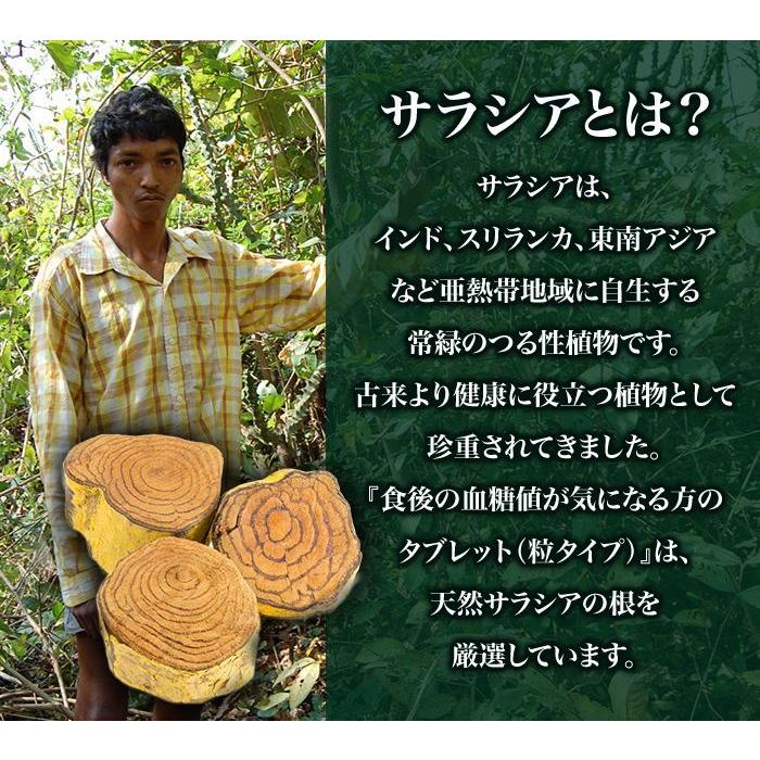 大正製薬 食後の血糖値が気になる方のタブレット 粒タイプ 1袋 90粒 6  