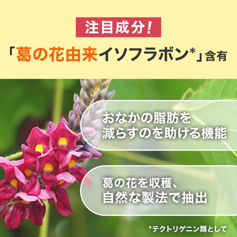 おなかの脂肪が気になる方のタブレット 粒タイプ 1袋 90粒 2袋セット 機能性表示食品 大正製薬｜taisho-directshop｜07