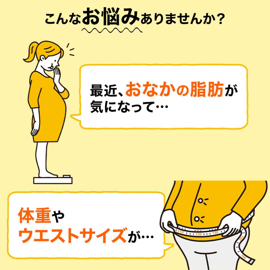 大正製薬 おなかの脂肪が気になる方のタブレット 粒タイプ 1袋 大正製薬 おなかの脂肪が気になる方のタブレット 粒タイプ 1袋