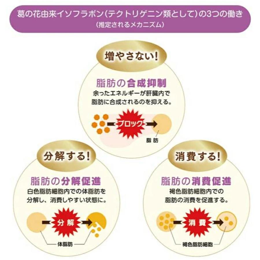 大正製薬 おなかの脂肪が気になる方のタブレット 粒タイプ 1袋 大正製薬 おなかの脂肪が気になる方のタブレット 粒タイプ 1袋