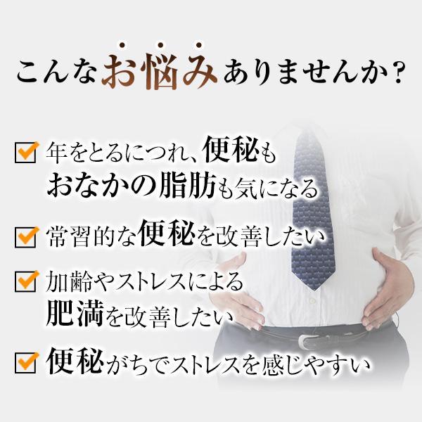 第2類医薬品 本草大柴胡湯エキス錠-H 360錠 2個 漢方 大柴胡湯 錠剤 ストレスや加齢などで便秘がちな方の肥満症に 漢方薬 大正製薬 | 大正製薬 | 02