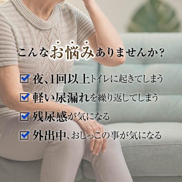 第2類医薬品 本草八味地黄丸料エキス錠ーＨ 270錠 漢方 生薬 夜間尿 頻尿 尿漏れ 尿トラブル 八味地黄丸 大正製薬 | 大正製薬 | 03