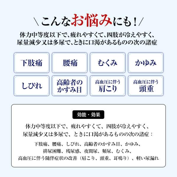 第2類医薬品 本草八味地黄丸料エキス錠ーＨ 270錠 漢方 生薬 夜間尿 頻尿 尿漏れ 尿トラブル 八味地黄丸 大正製薬｜taisho-drug｜07