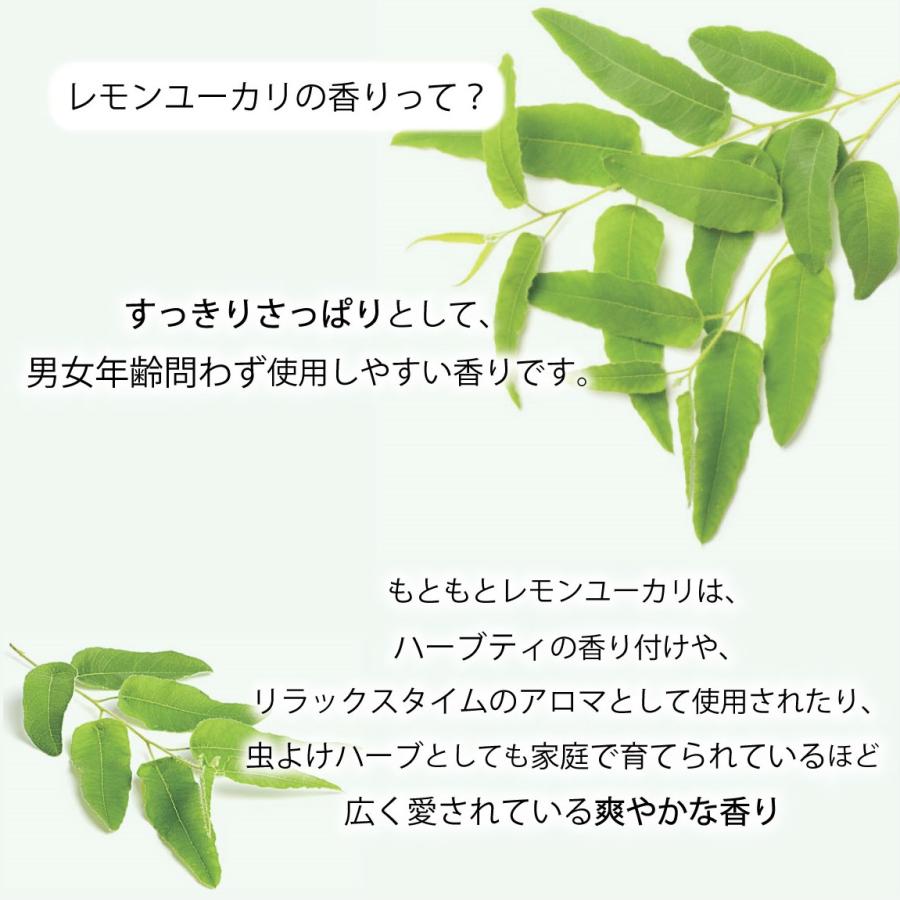 宝石石鹸 キット グリセリンソープ 手作りキット 1kg 1000グラム 着色剤５色 レモンユーカリの香りの素付き ワークショップ イベント に |  | 05