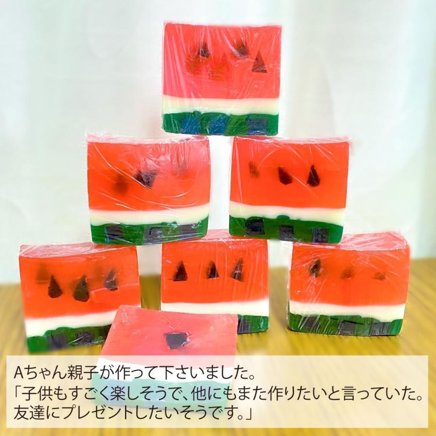 自由研究 キット 手作り石けん すいか 作り方説明書 付 数量限定